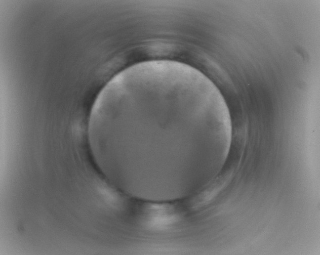 X0000115410277200911241334