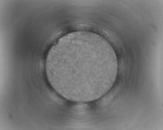 X0000115410278200911241334