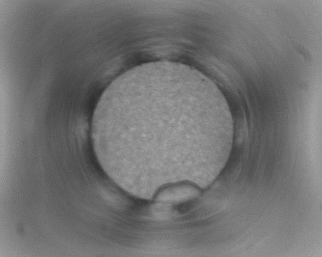 X0000115410279200911241334