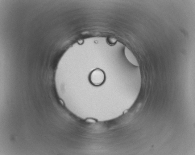 X0000115410280200911241334