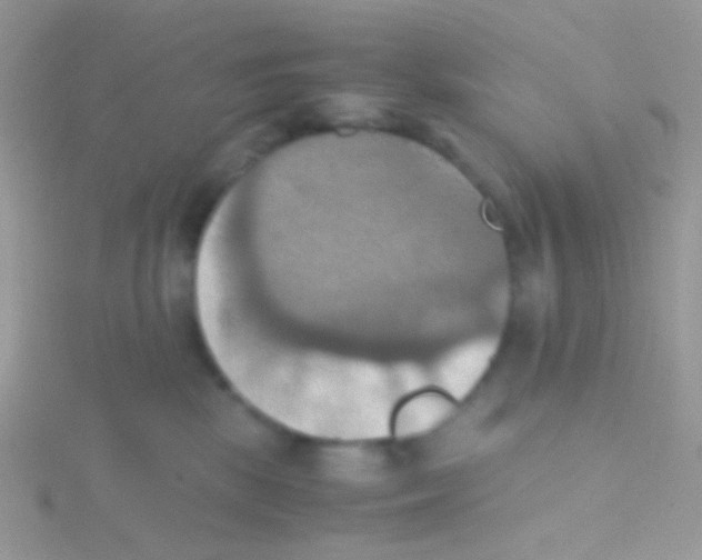 X0000115410281200911241334