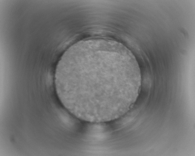 X0000115410282200911241334