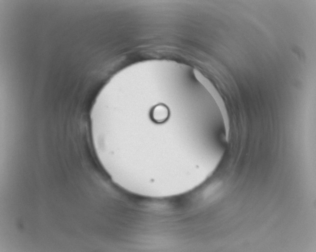 X0000115410284200911241334