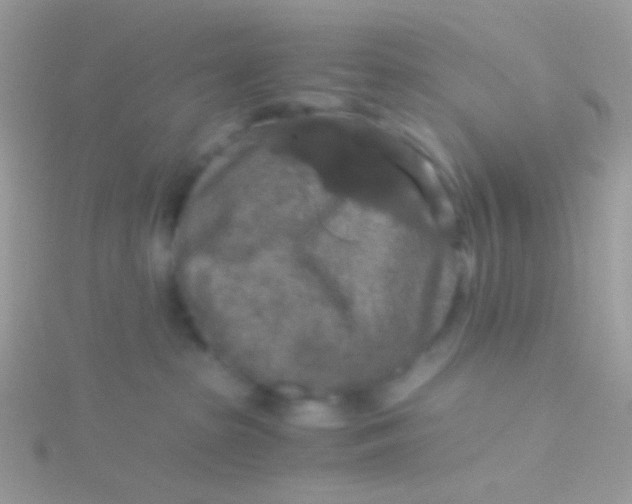 X0000115410285200911241334