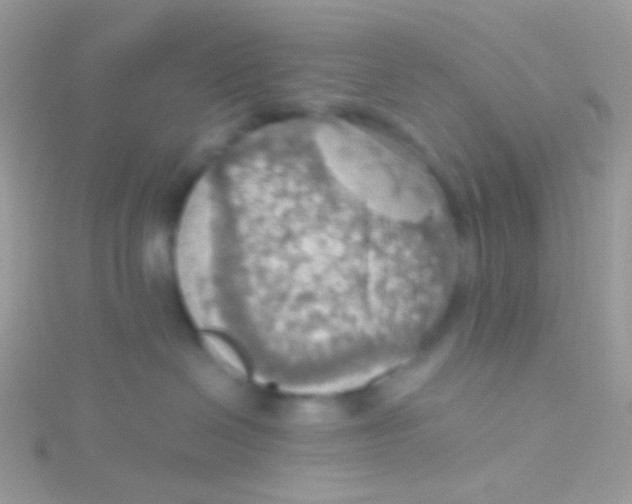 X0000115410286200911241334