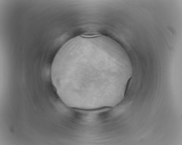 X0000115410288200911241334