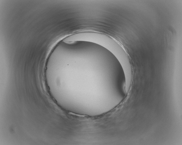 X0000115410289200911241333