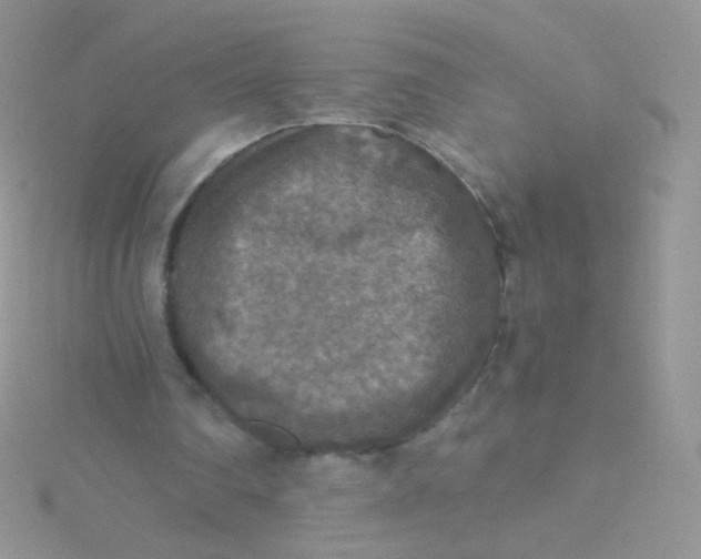 X0000115410290200911241333