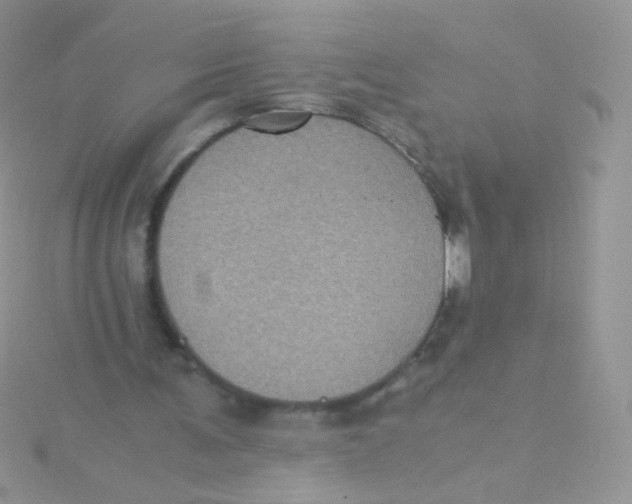 X0000115410291200911241333