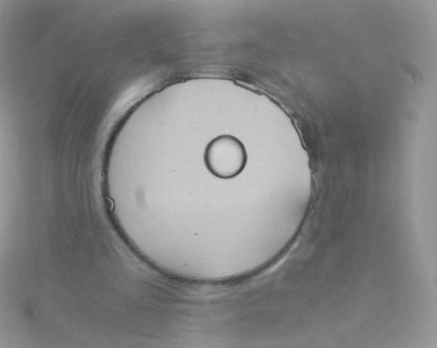 X0000115410293200911241333