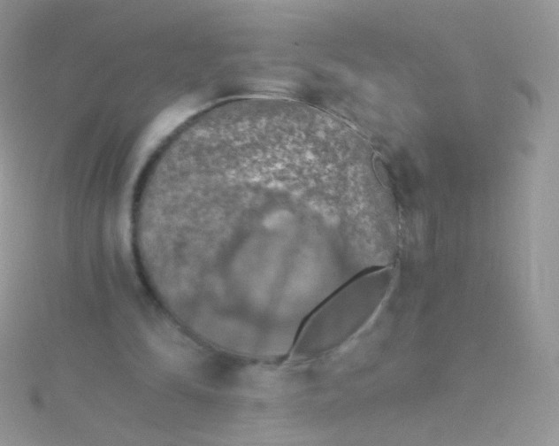 X0000115410294200911241333