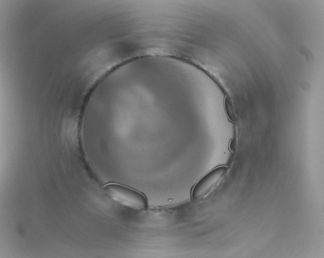 X0000115410297200911241333