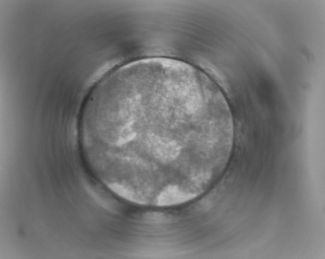 X0000115410298200911241333