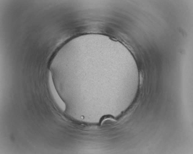 X0000115410301200911241333