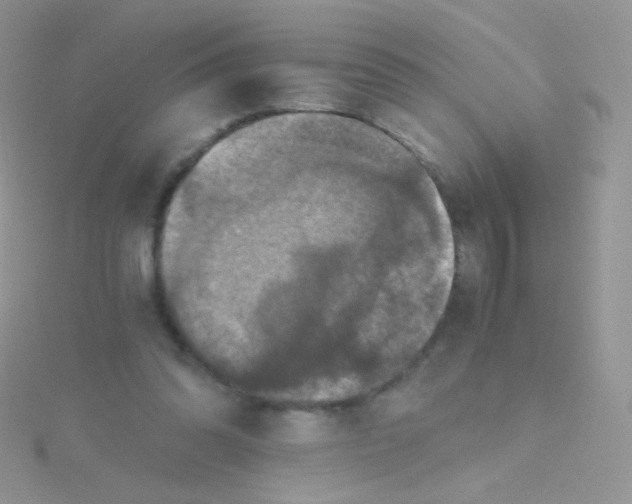 X0000115410302200911241333