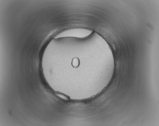 X0000115410304200911241333