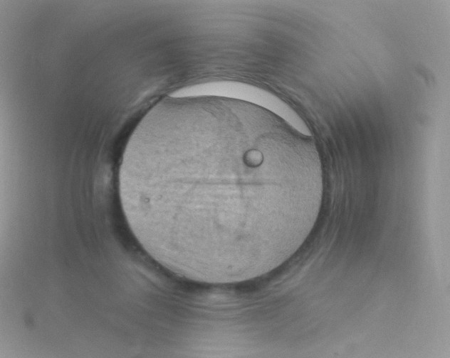 X0000115410308200911241333