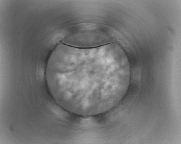 X0000115410309200911241333