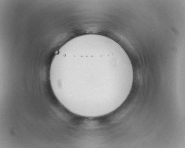 X0000115410311200911241333