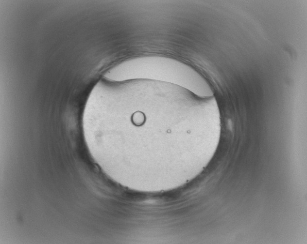 X0000115410312200911241333