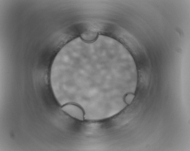 X0000115410313200911241333