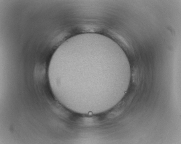 X0000115410314200911241333