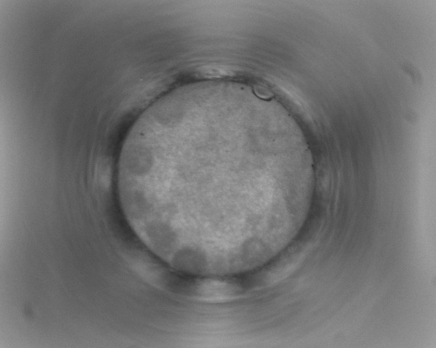 X0000115410315200911241333