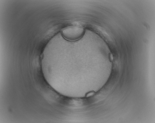 X0000115410317200911241333