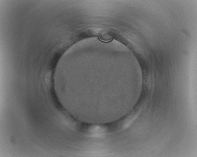 X0000115410319200911241333