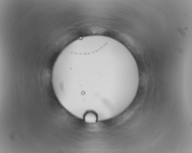 X0000115410321200911241333