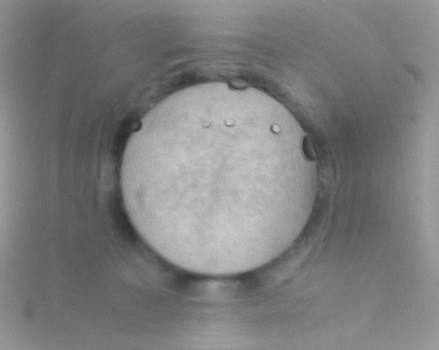 X0000115410323200911241333