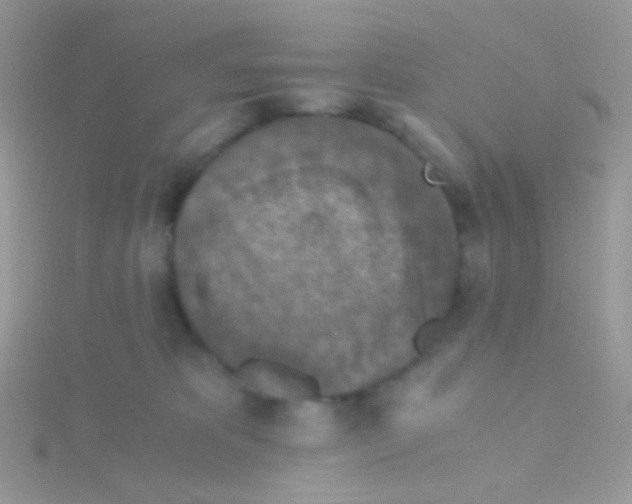 X0000115410325200911241333