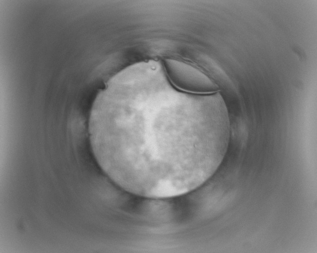 X0000115410327200911241333