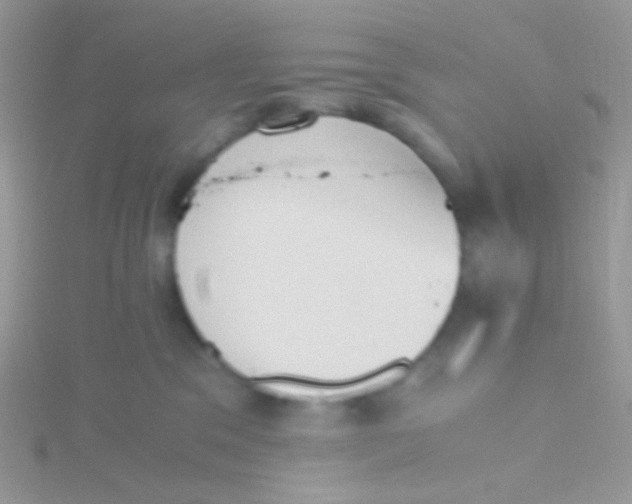 X0000115410329200911241333