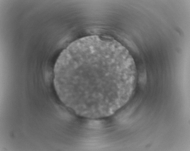 X0000115410332200911241333