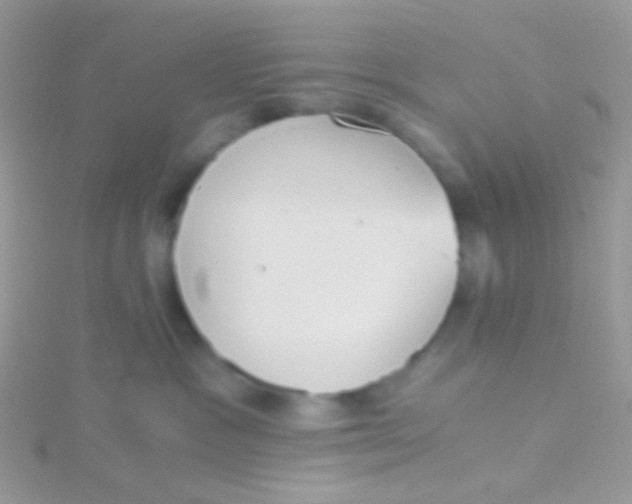 X0000115410333200911241333