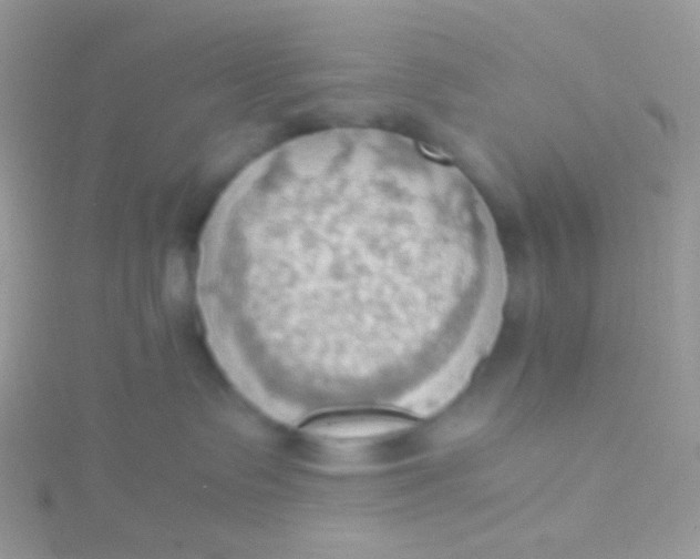 X0000115410335200911241333