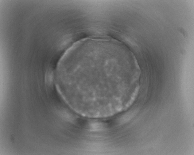 X0000115410336200911241333