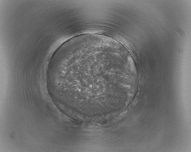 X0000115410337200911241332