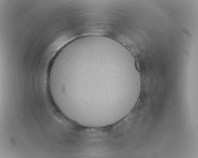 X0000115410338200911241332