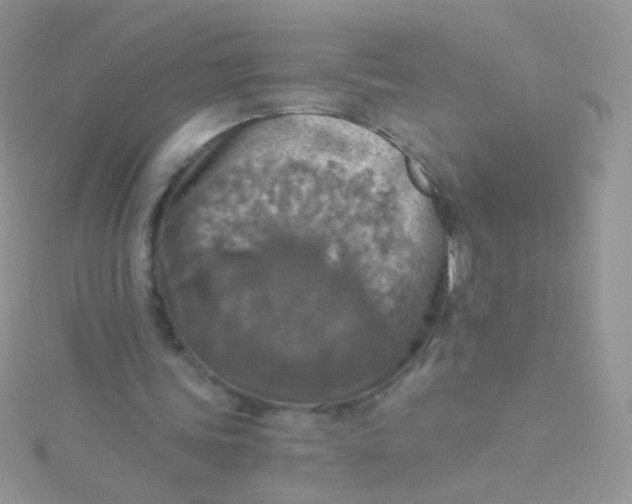 X0000115410339200911241332