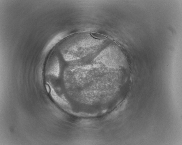 X0000115410341200911241332