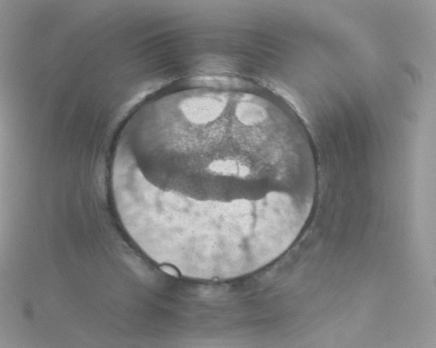 X0000115410345200911241332