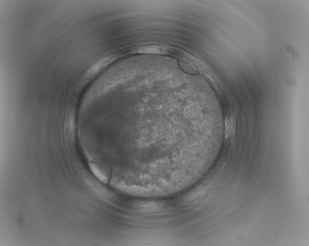 X0000115410349200911241332