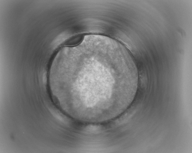 X0000115410350200911241332