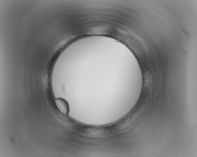 X0000115410351200911241332