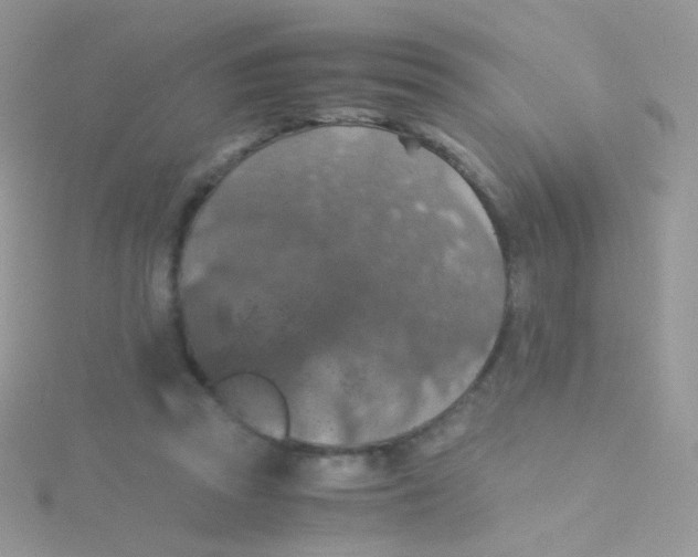 X0000115410353200911241332