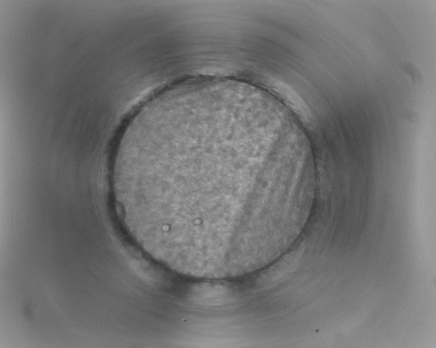 X0000115410354200911241332