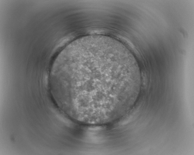 X0000115410357200911241332