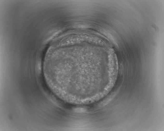 X0000115410358200911241332